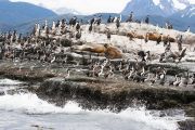 Foto: Tierra del Fuego. Gateway to the Icy Continent